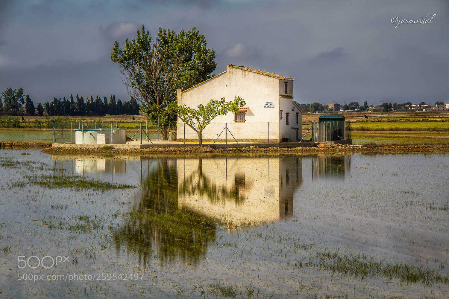 Canon EOS 7D sample photo. Reflejos en arrozales del photography