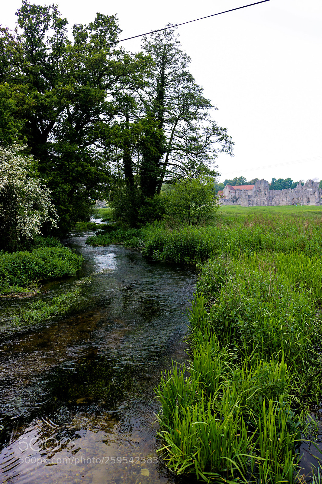 Canon EOS 750D (EOS Rebel T6i / EOS Kiss X8i) sample photo. River wensum and castle photography