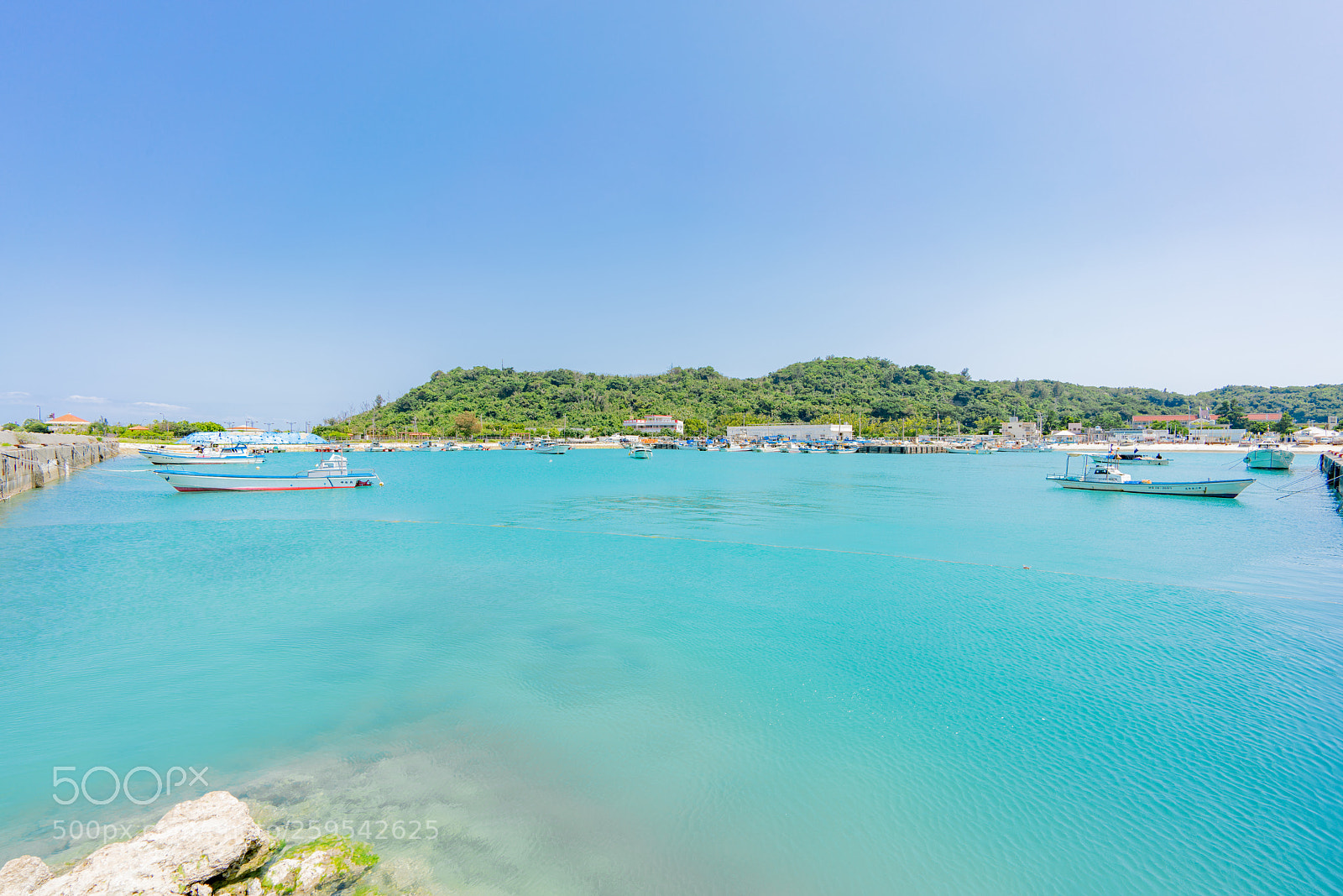 Sony a7R II sample photo. Dsc photography