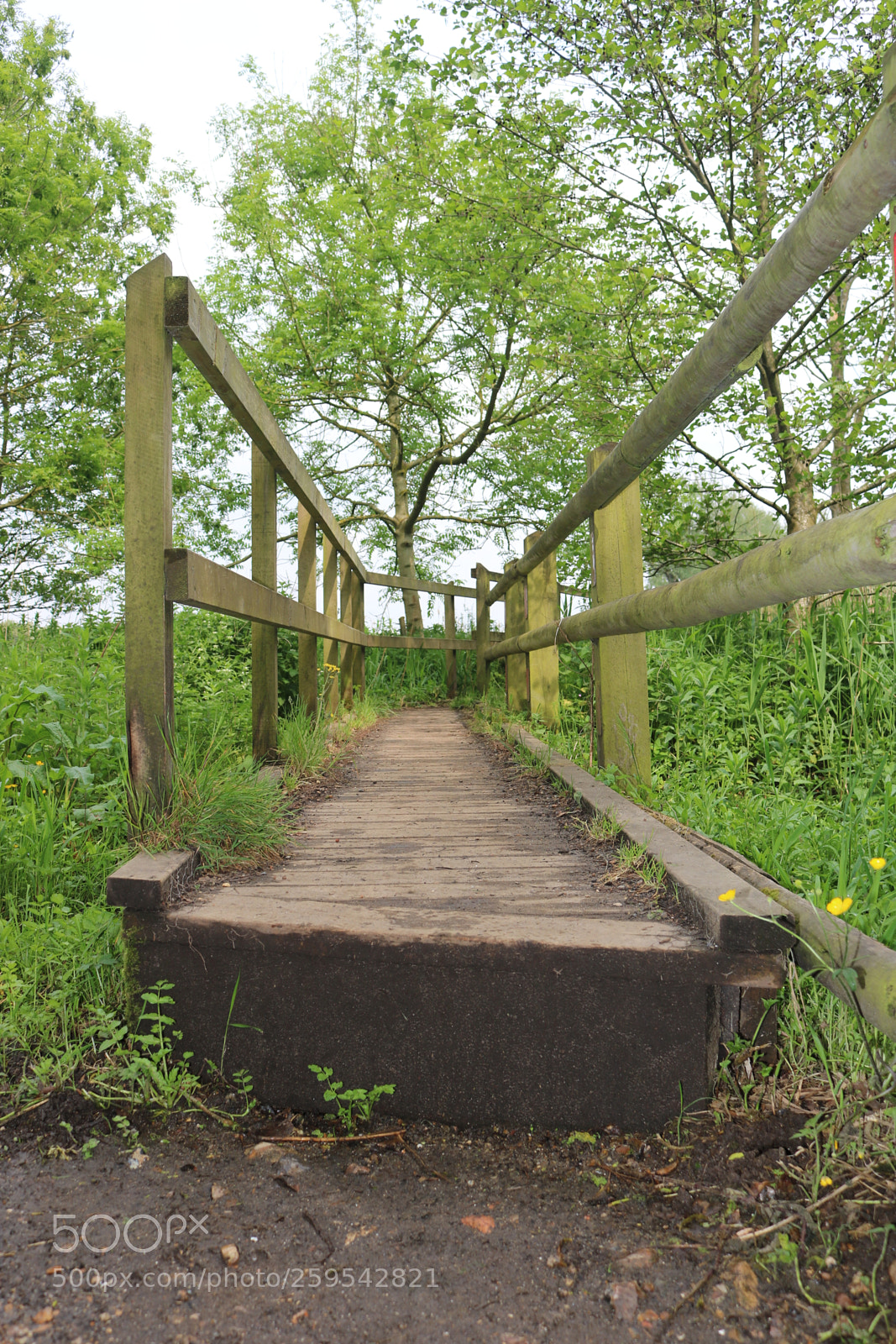 Canon EOS 750D (EOS Rebel T6i / EOS Kiss X8i) sample photo. Follow the path....where will photography