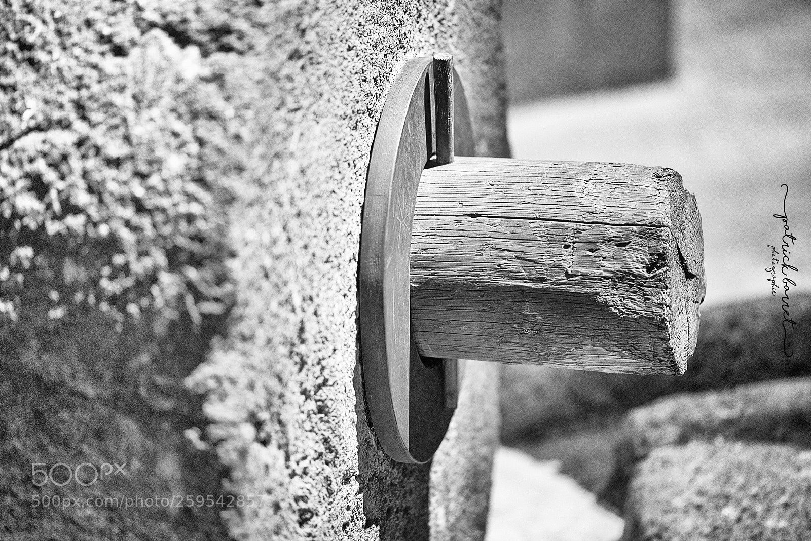 Nikon D750 sample photo. Histoire crois e du photography