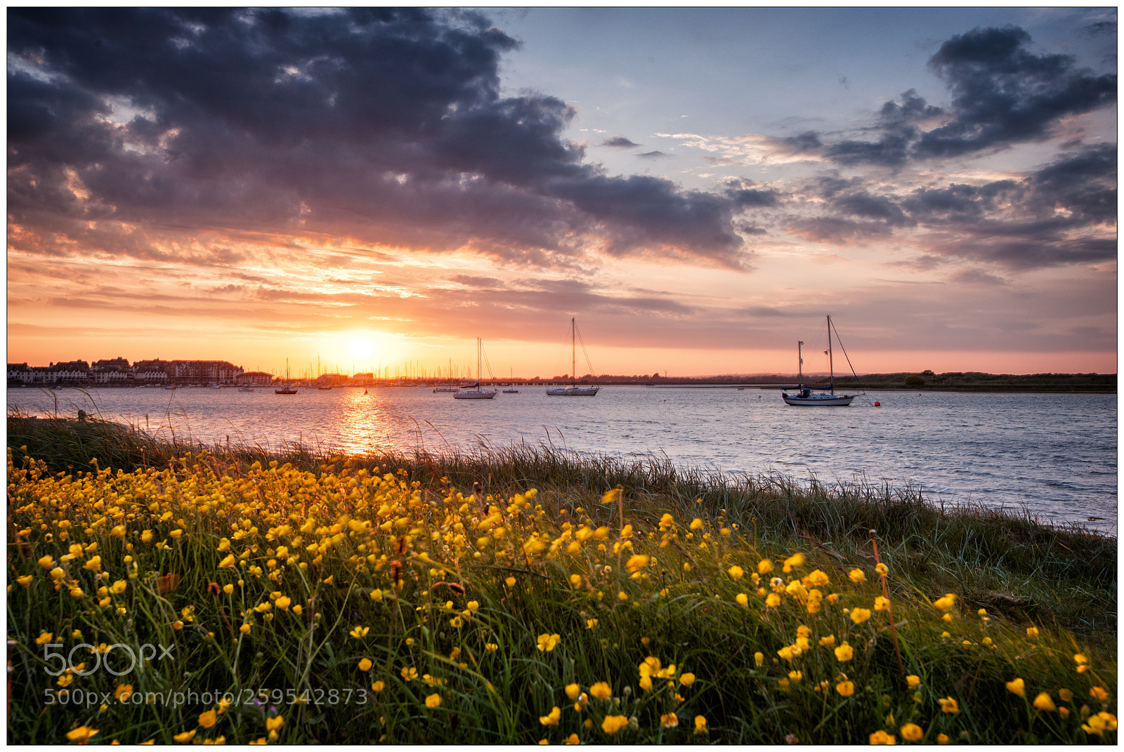 Nikon D700 sample photo. Malahide marina 3 photography