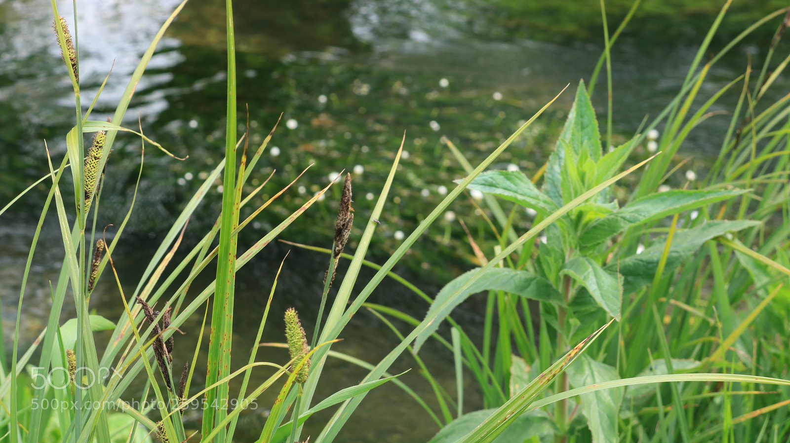Canon EOS 750D (EOS Rebel T6i / EOS Kiss X8i) sample photo. Untitled photography