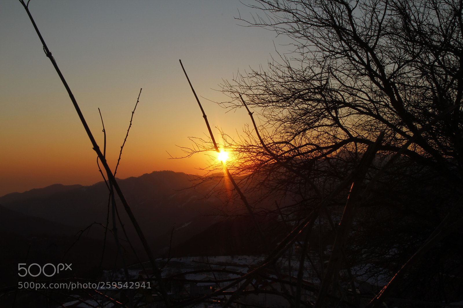 Canon EF-S 18-200mm F3.5-5.6 IS sample photo. Untitled photography