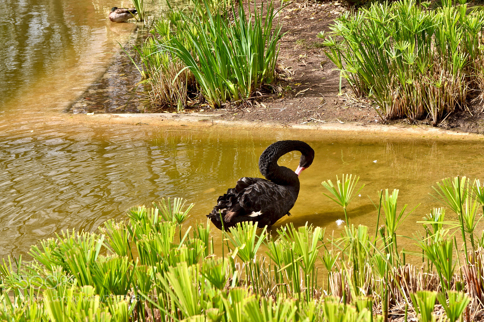 Nikon D5300 sample photo. Dsc_3438(2) photography