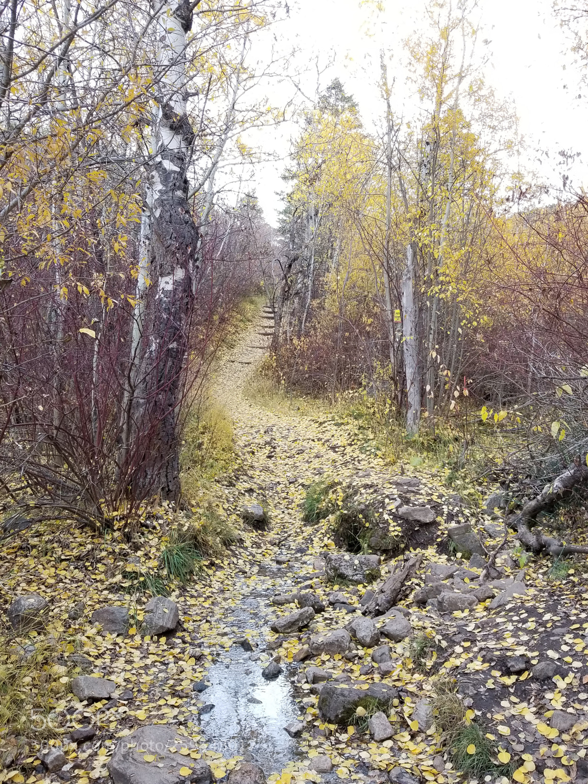 Samsung Galaxy S8+ sample photo. A river runs through photography