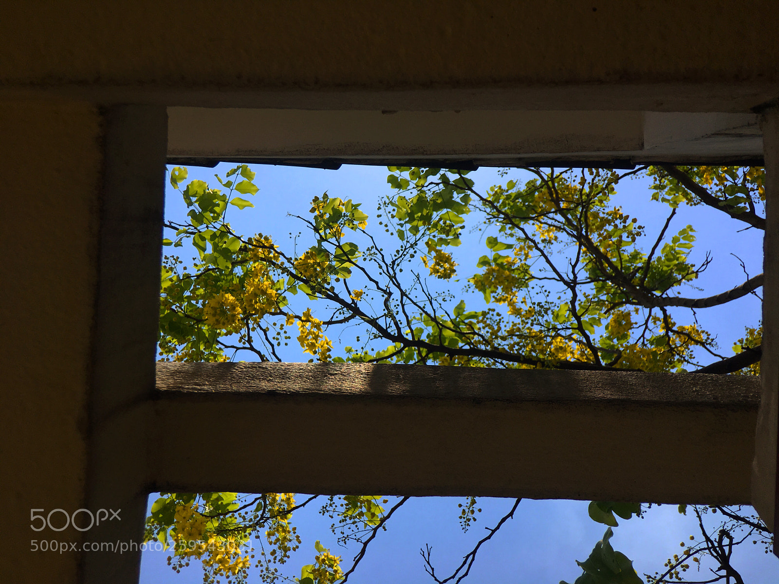 Apple iPhone 6s Plus sample photo. Untitled photography