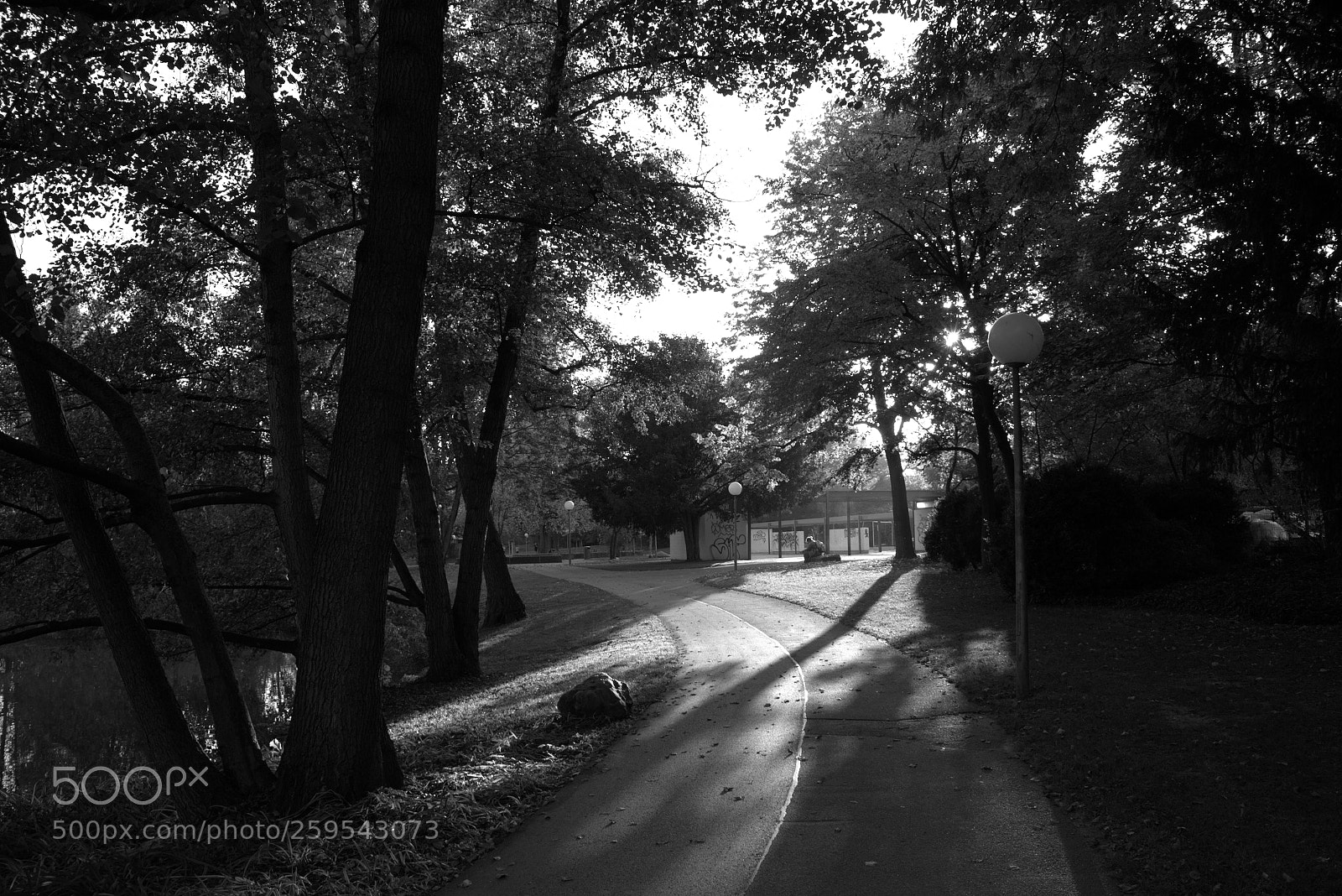 Canon EOS 700D (EOS Rebel T5i / EOS Kiss X7i) sample photo. The park photography