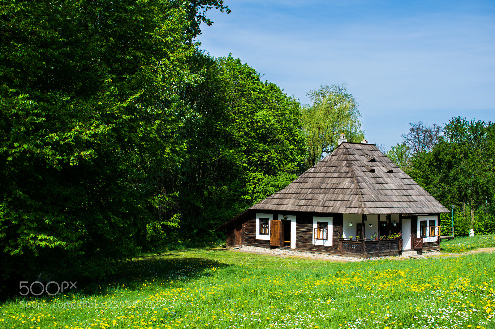 Nikon D5300 sample photo. Traditional architecture from bucovina photography