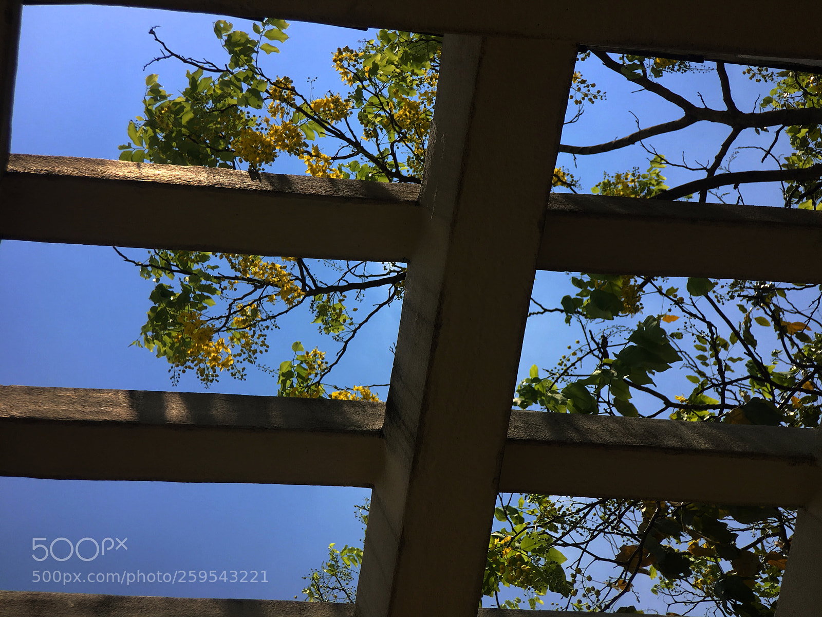 Apple iPhone 6s Plus sample photo. Untitled photography