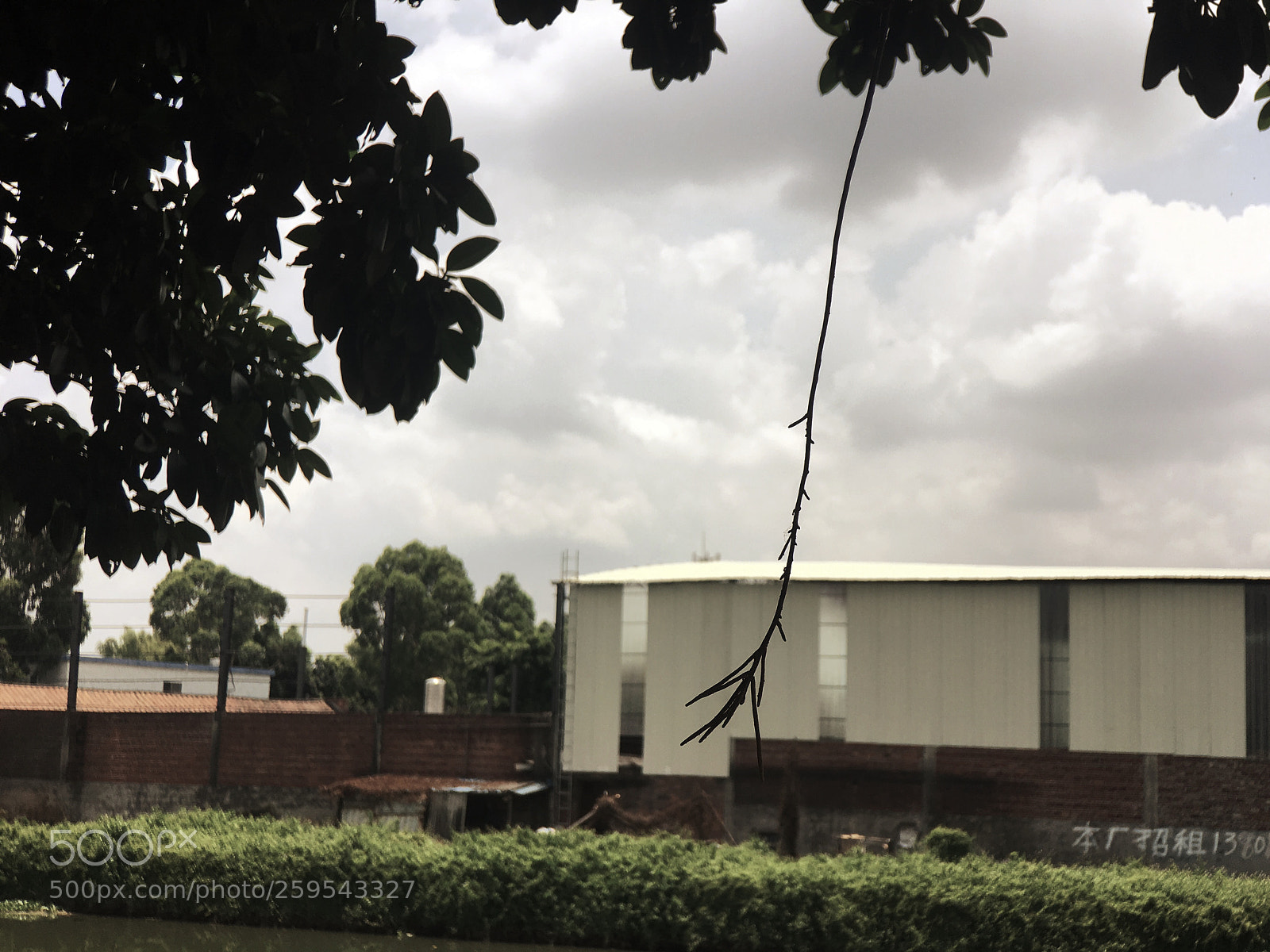 Apple iPhone 6s Plus sample photo. Untitled photography