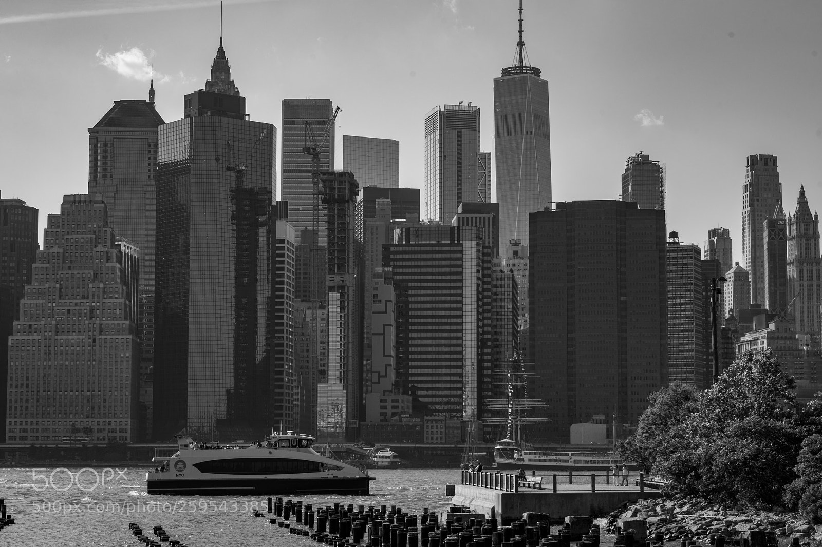 Nikon D500 sample photo. Untitled photography