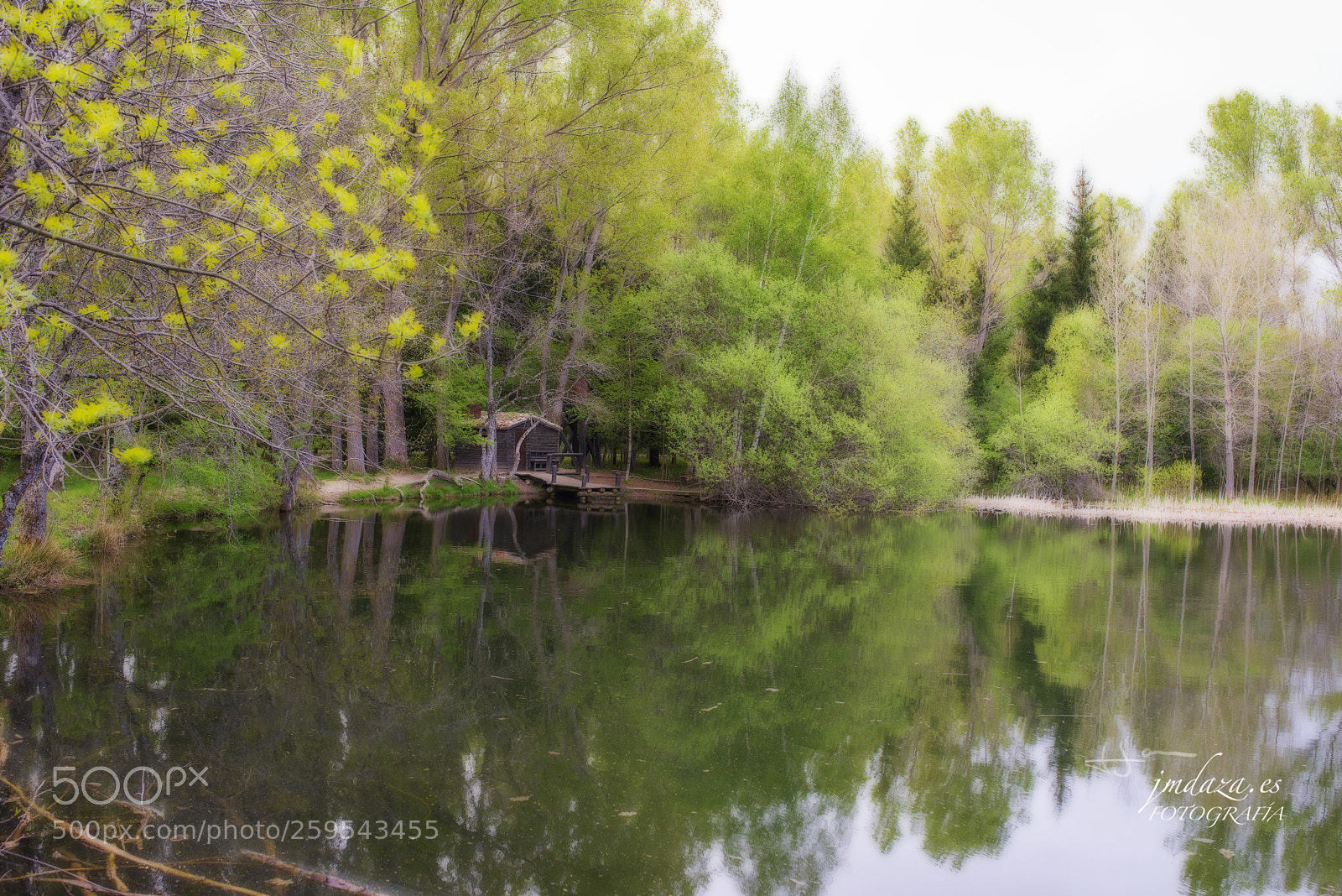 Nikon D610 sample photo. Rascafria 001 photography