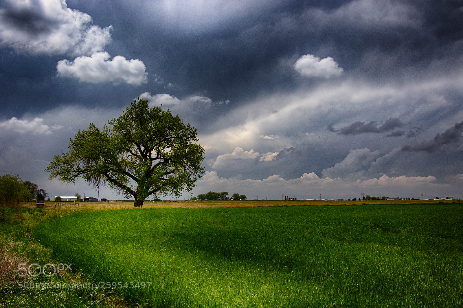 Canon EOS 7D Mark II sample photo. Spring rains photography