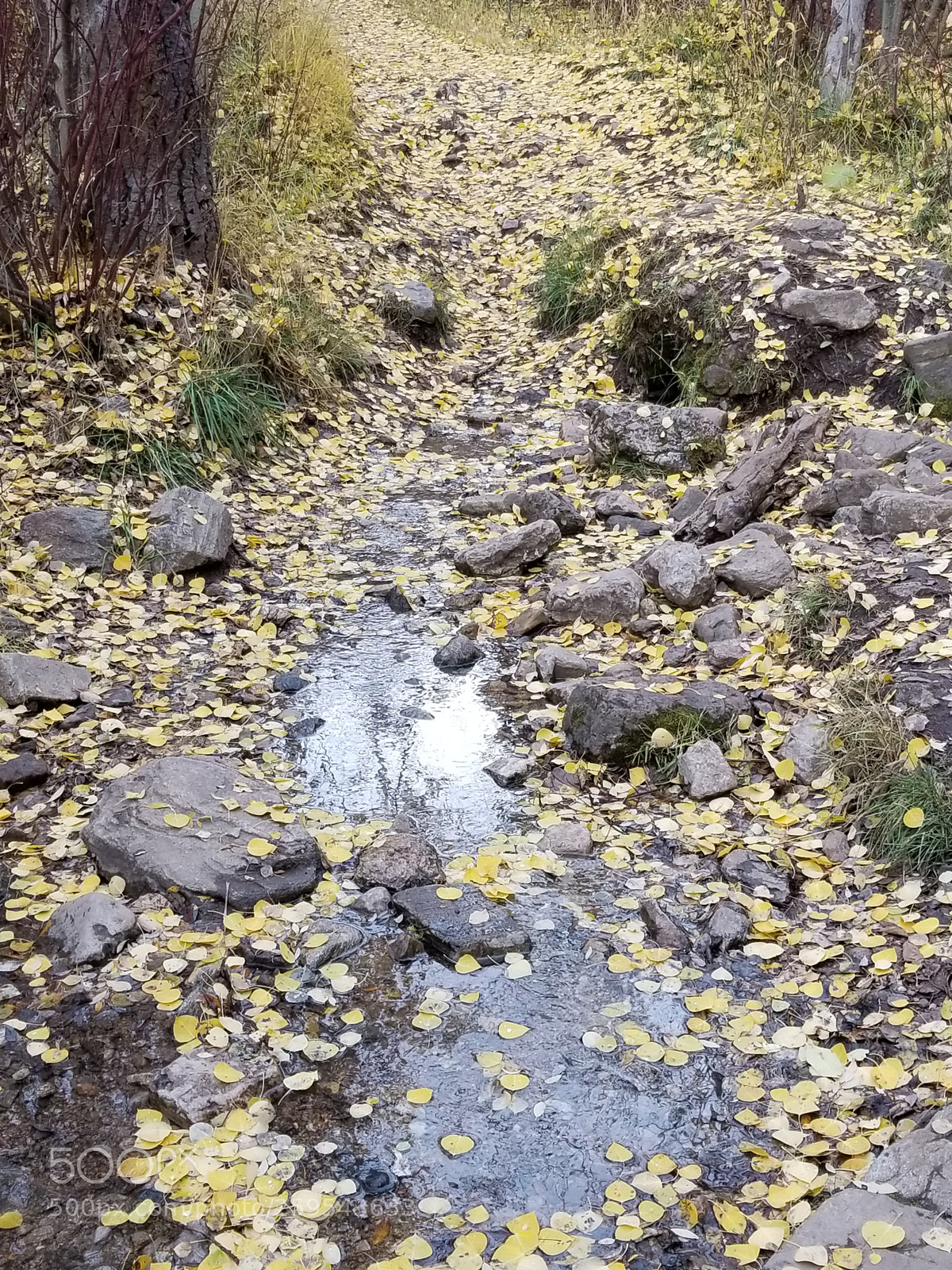 Samsung Galaxy S8+ sample photo. Fall reflection photography