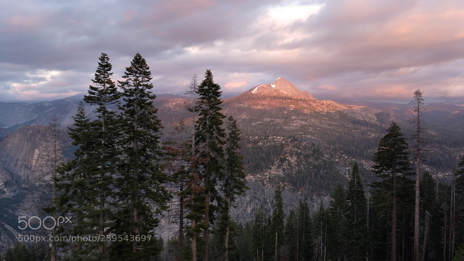 Fujifilm X-T2 sample photo. Yosemite photography