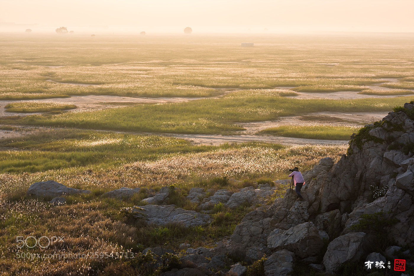 Nikon D810 sample photo. Untitled photography