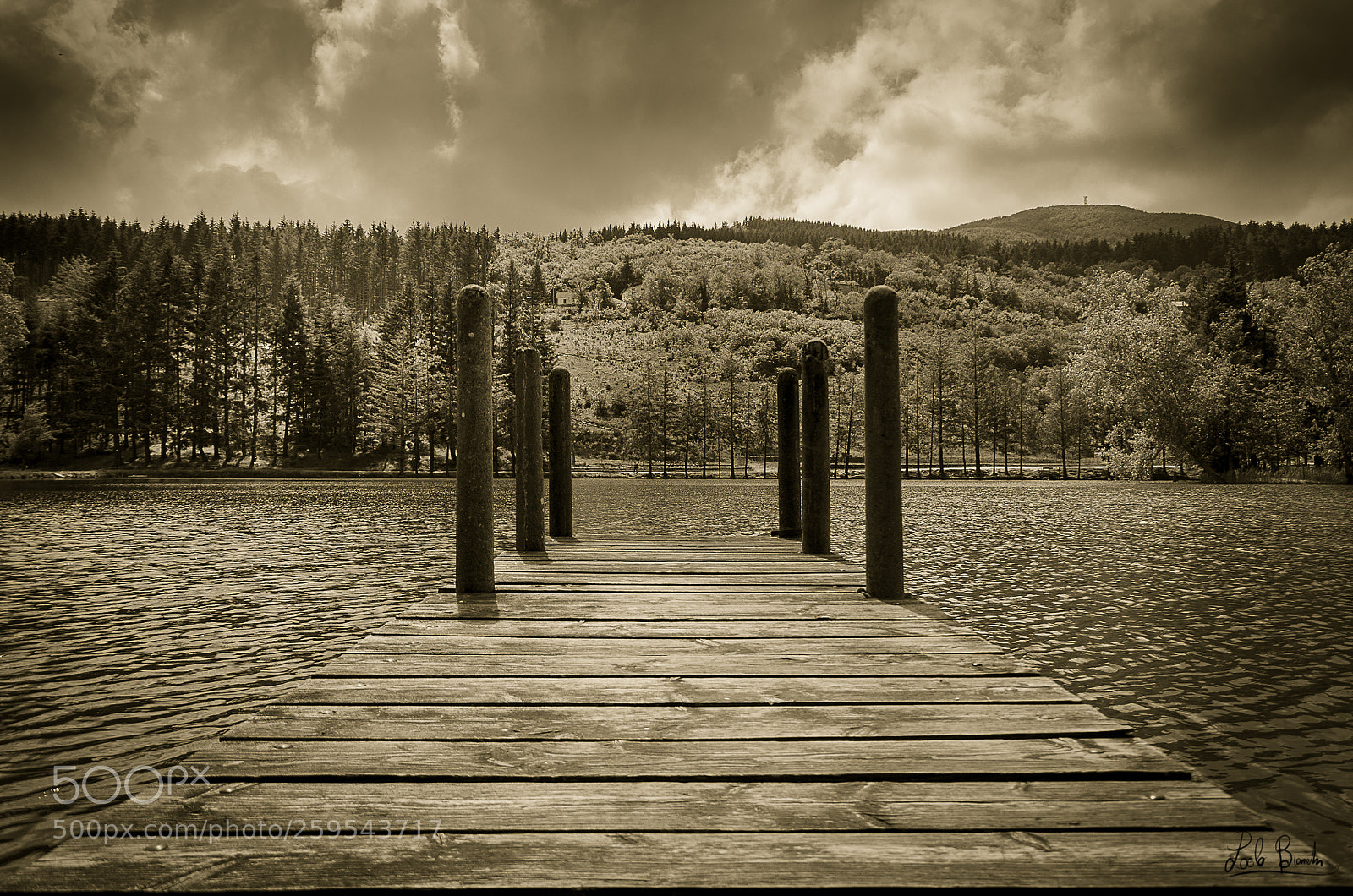 Nikon D5100 sample photo. Pontile acquapartita photography