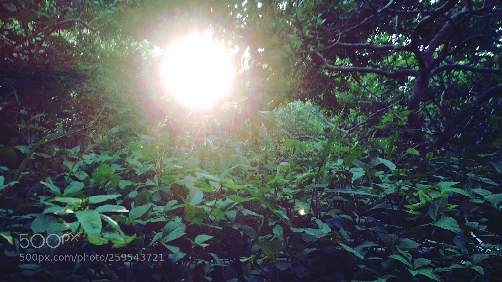 Xiaomi Redmi 4 Pro sample photo. Sun set photography