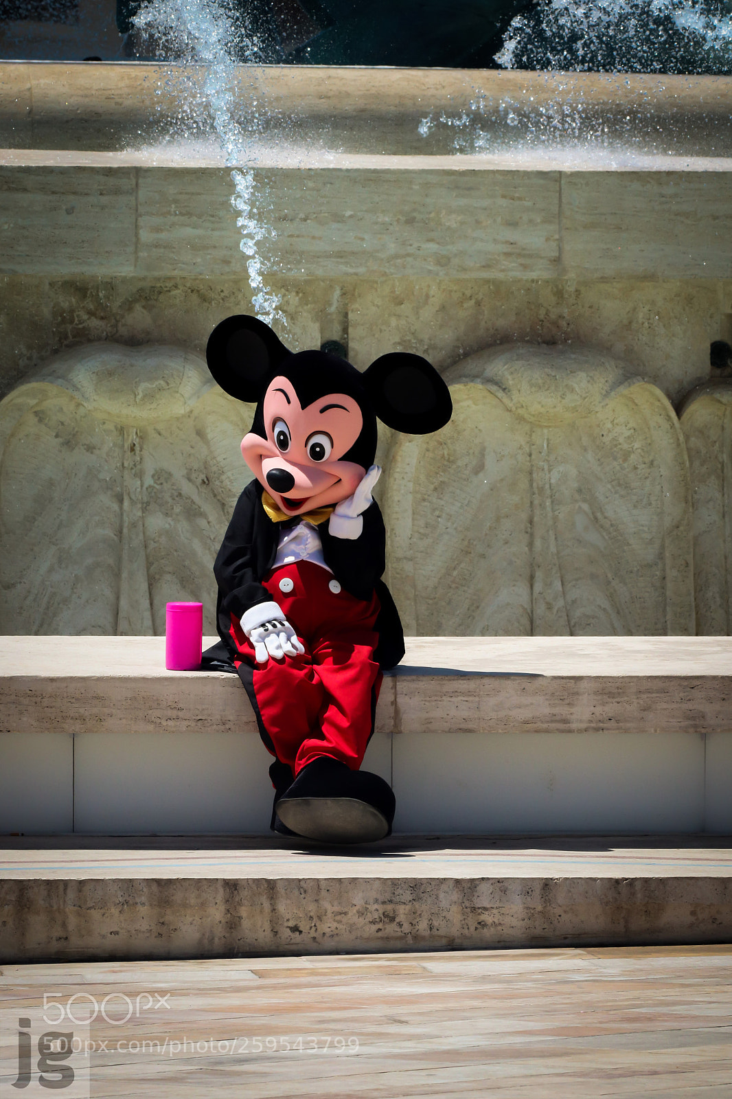 Canon EOS 77D (EOS 9000D / EOS 770D) sample photo. Waiting for minnie photography