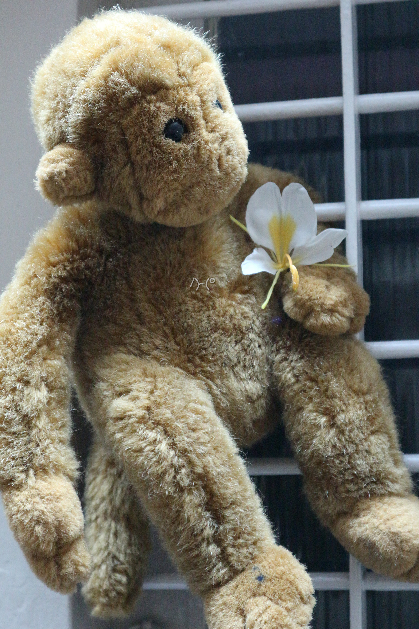 Canon EOS M10 sample photo. Flower and stuffed toy photography