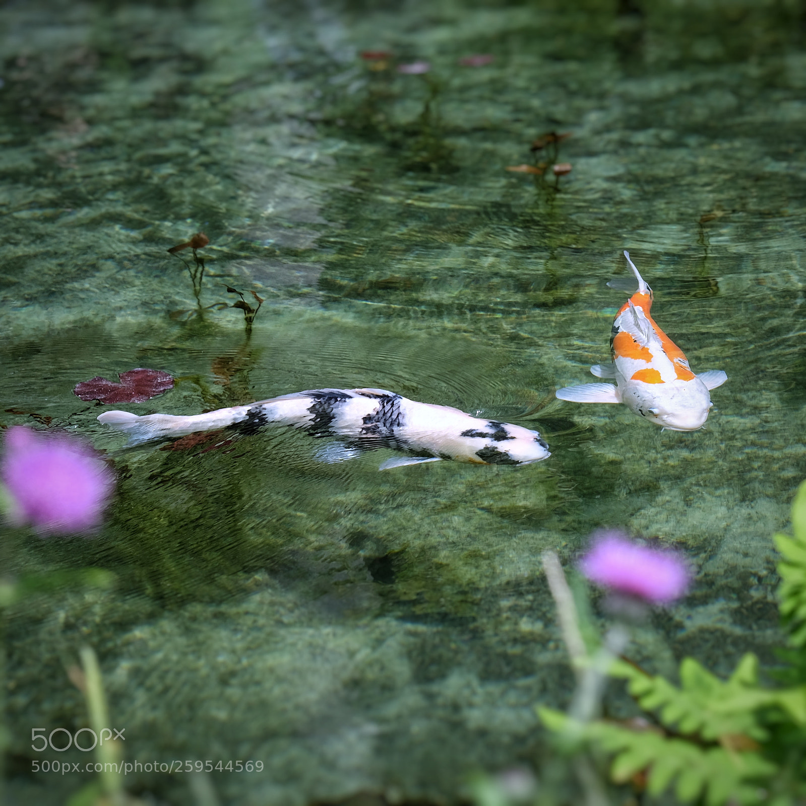 Fujifilm X-E2 sample photo. Untitled photography