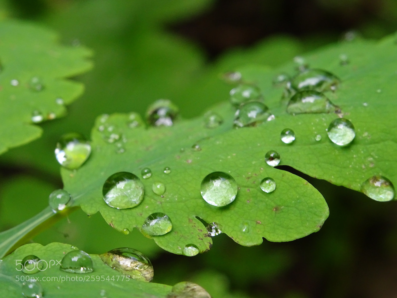 Sony DSC-HX60V sample photo. Dsc photography