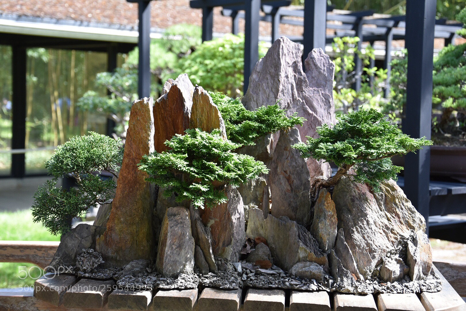 Nikon D3400 sample photo. Untitled photography