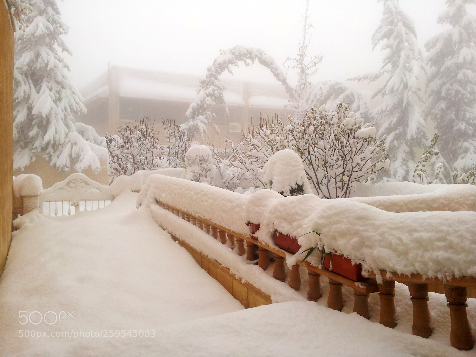Samsung Galaxy S2 sample photo. Snow photography