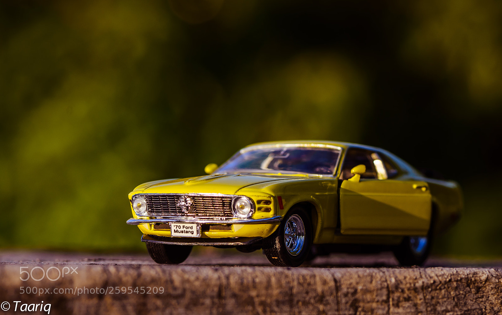 Nikon D610 sample photo. 1970 ford mustang photography