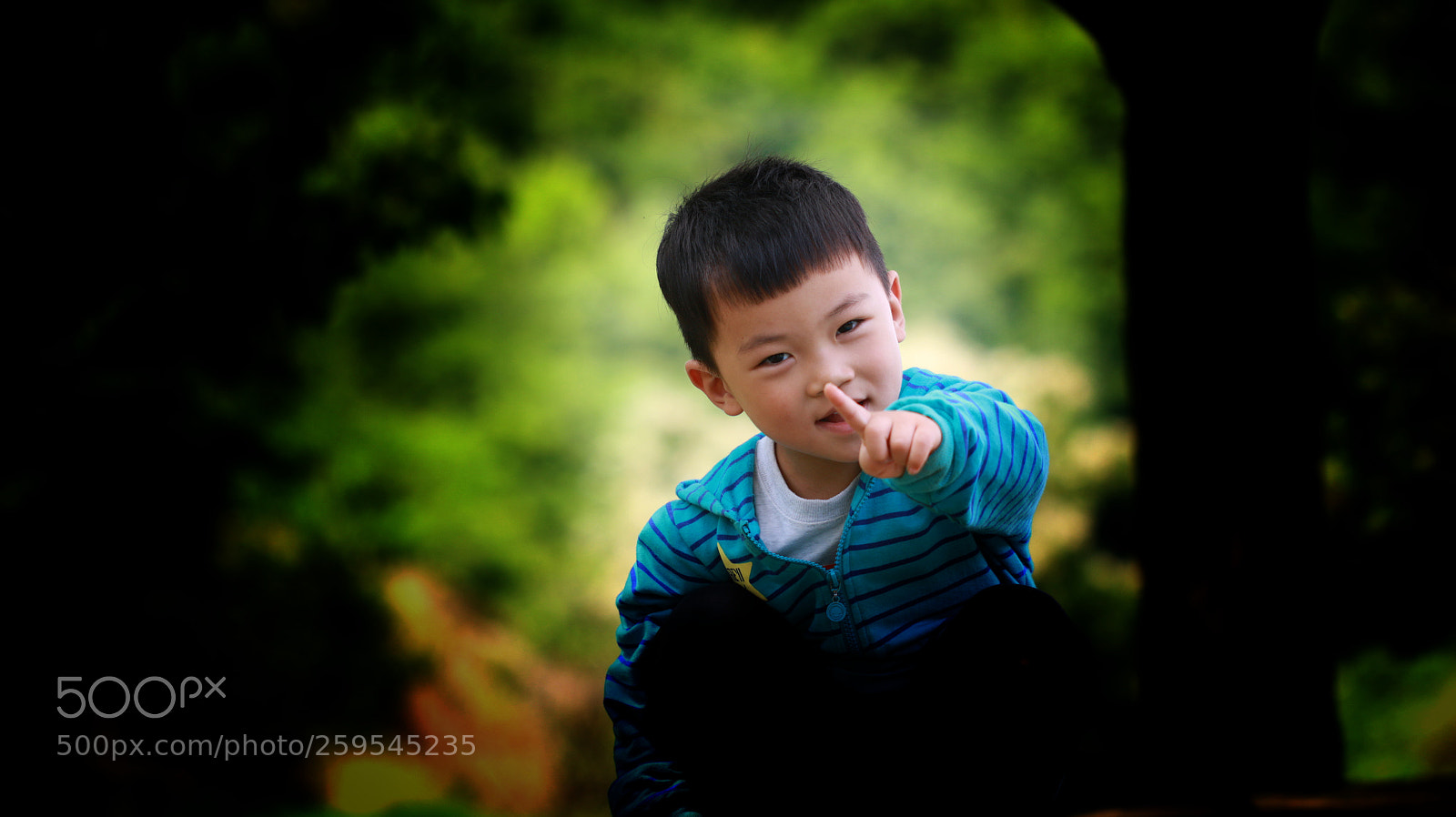 Canon EOS 70D sample photo. Untitled photography