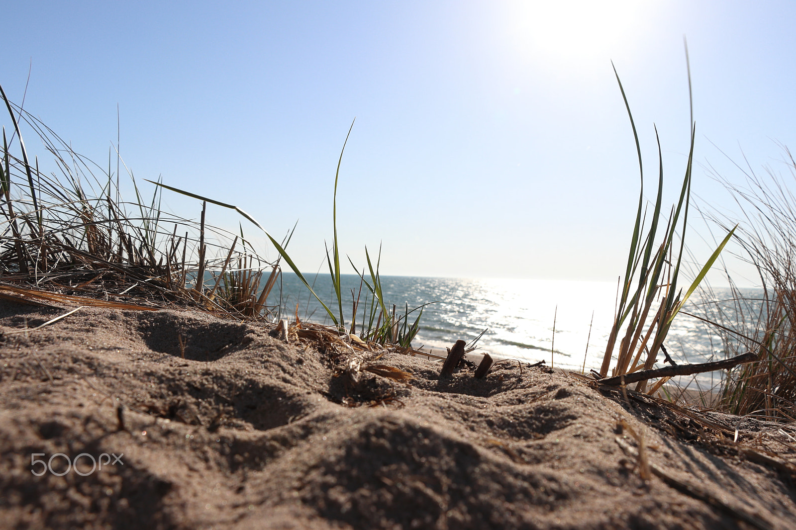 Canon EOS 77D (EOS 9000D / EOS 770D) sample photo. Sun at the dunes photography