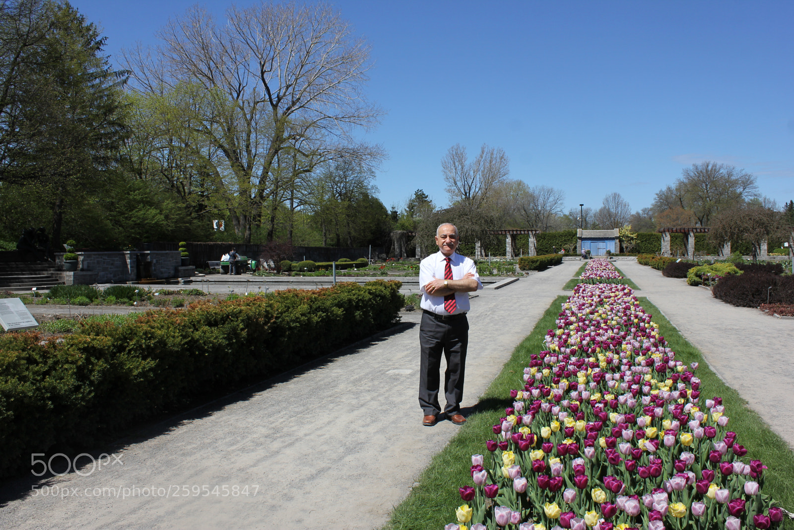 Canon EOS 550D (EOS Rebel T2i / EOS Kiss X4) sample photo. Tulips montreal botanical gardens photography