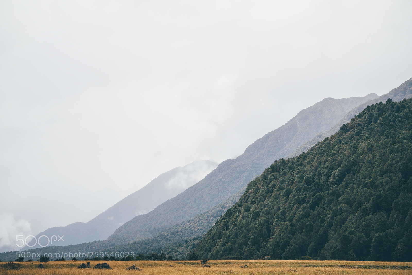 Sony a7R II sample photo. Milford sound photography
