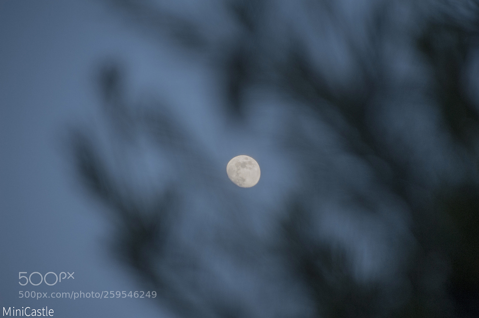 Nikon D700 sample photo. Moon photography