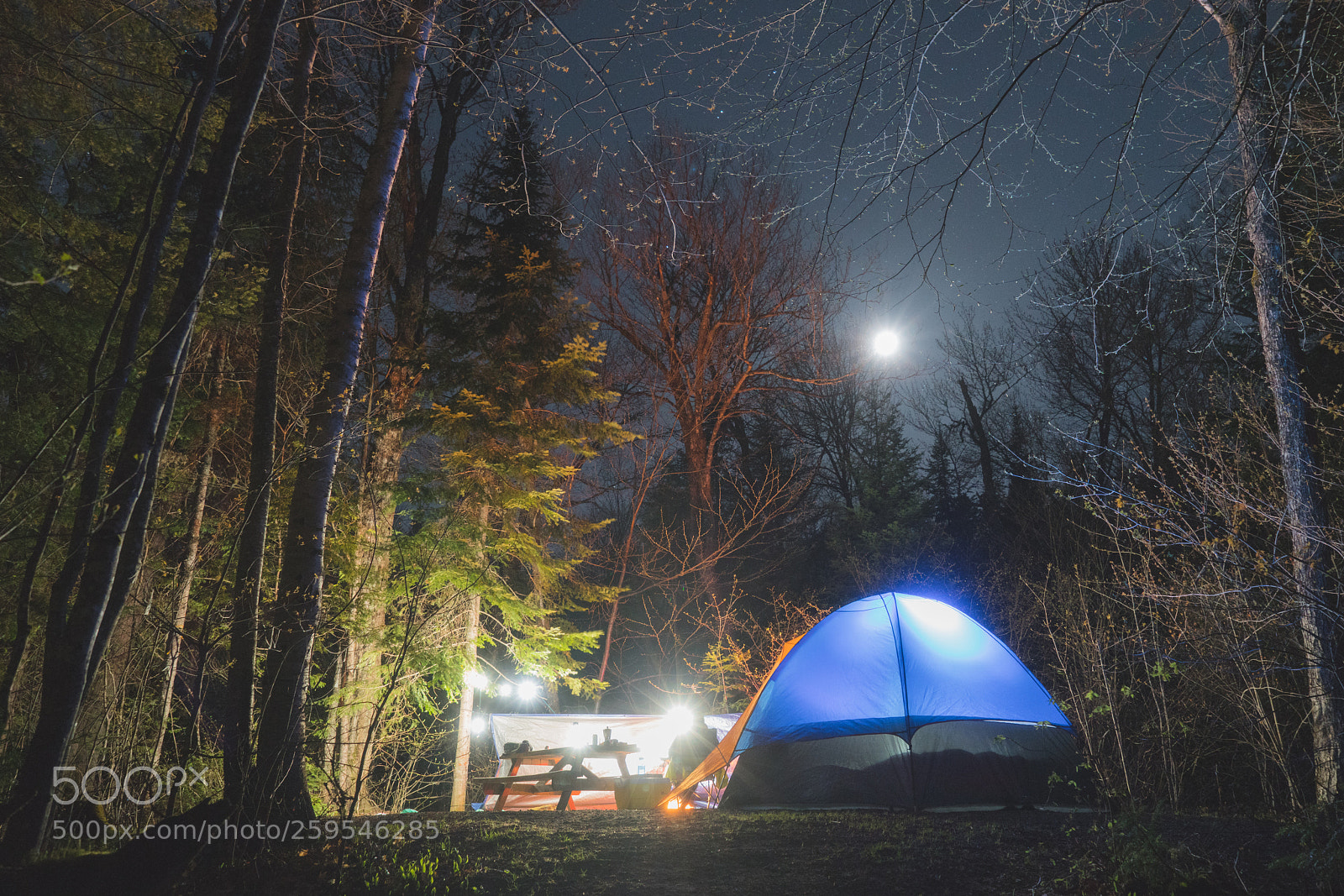 Sony a7R III sample photo. Camping photography