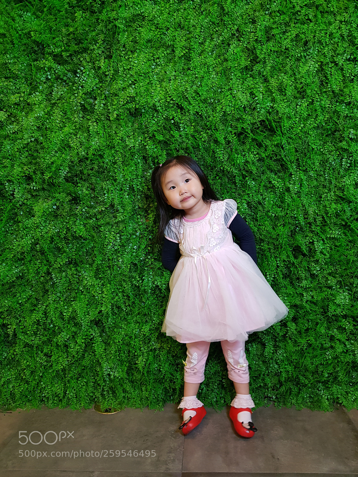 Samsung Galaxy S8+ sample photo. Untitled photography
