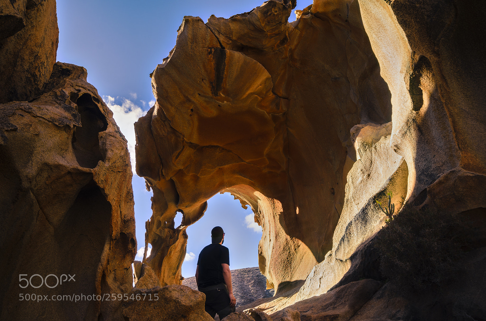 Nikon D7000 sample photo. Contemplating the arch photography