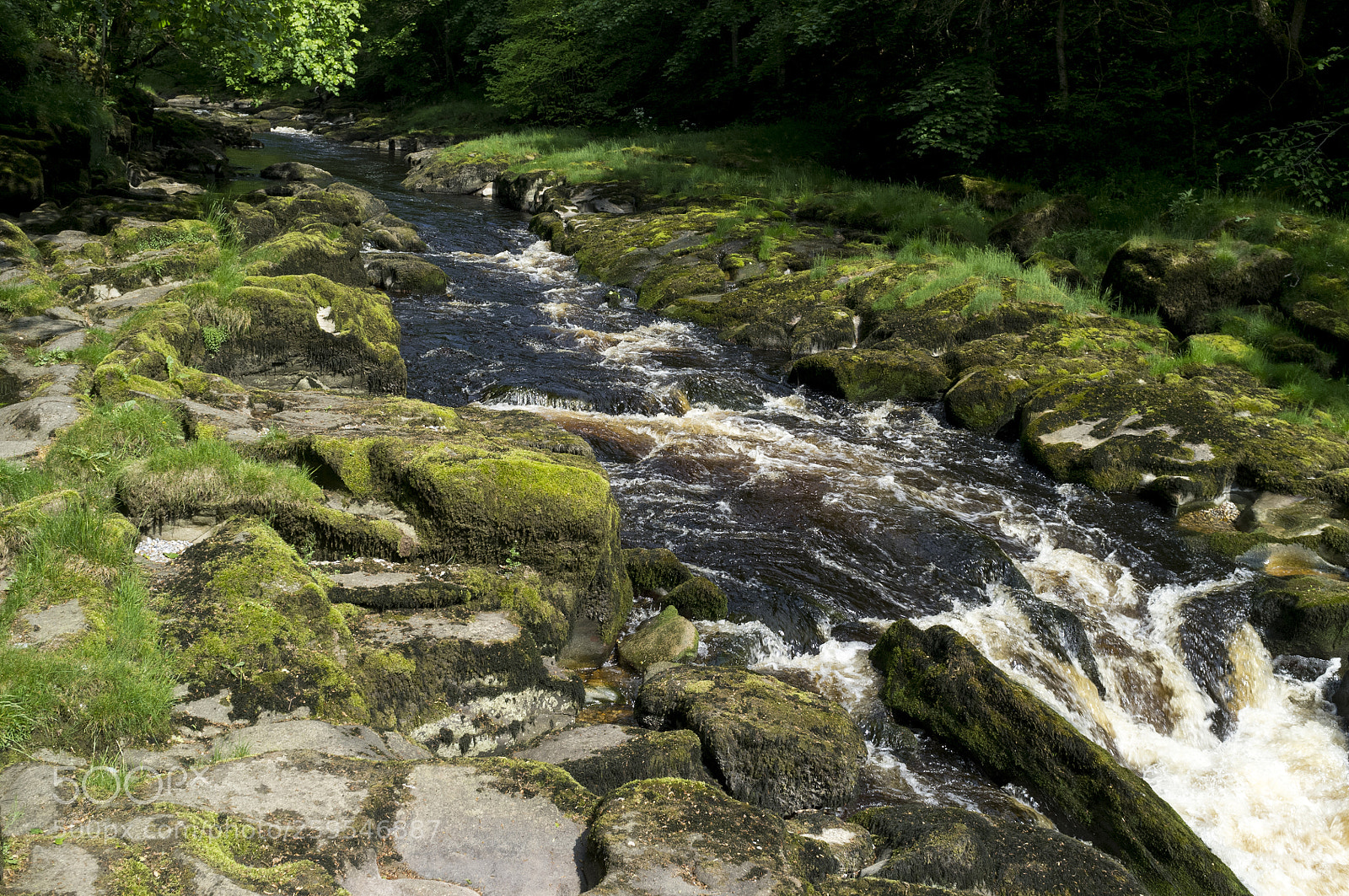 Fujifilm FinePix X100 sample photo. The strid photography