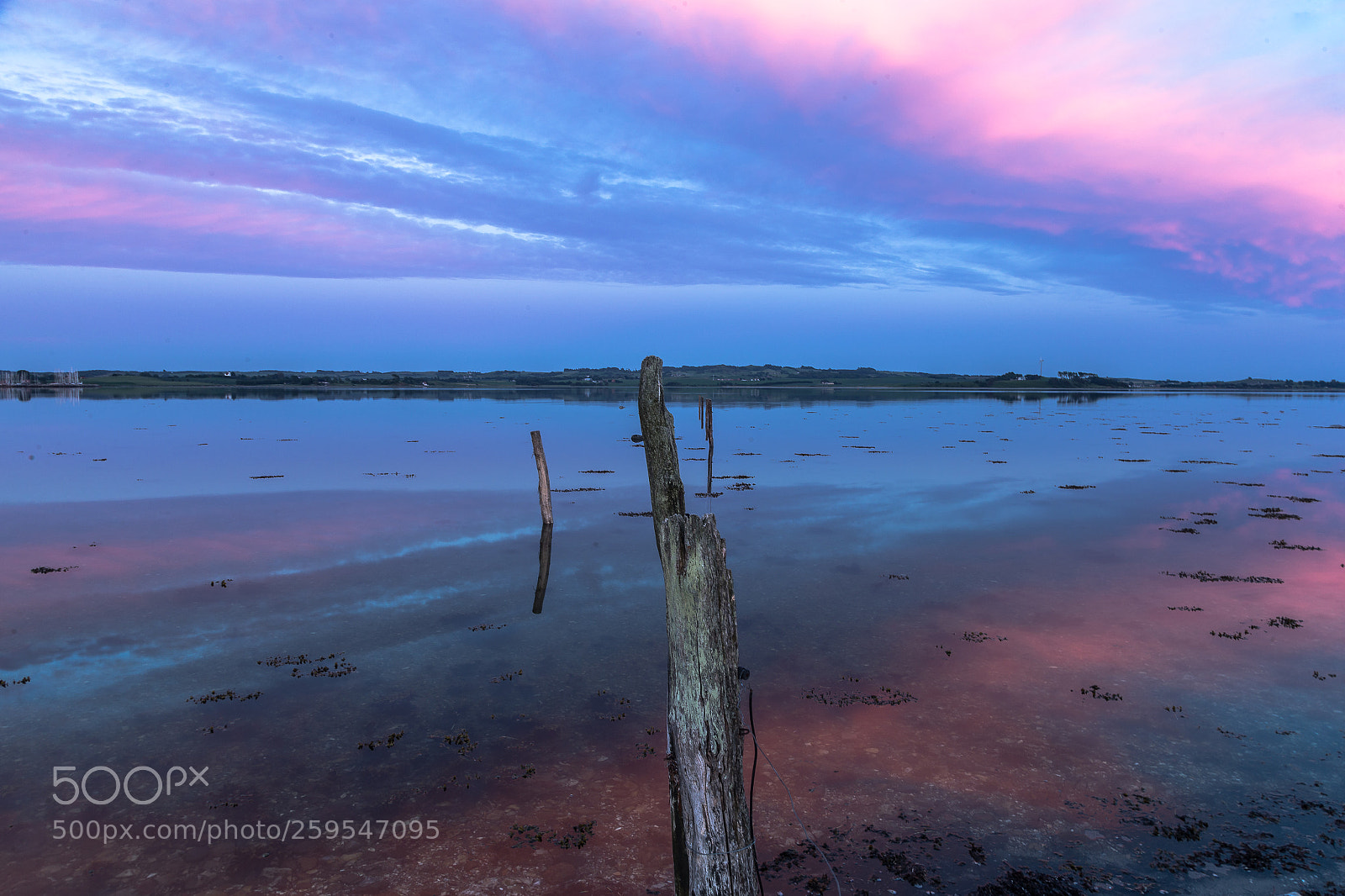 Canon EOS-1D X sample photo. Dusk photography