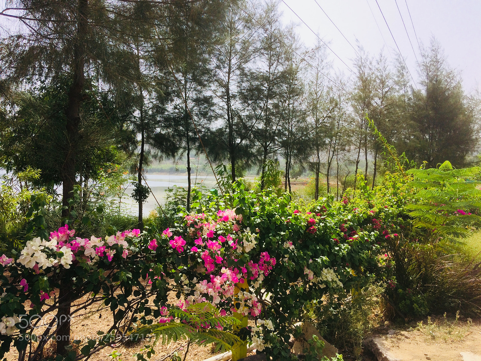 Apple iPhone 5s sample photo. Untitled photography