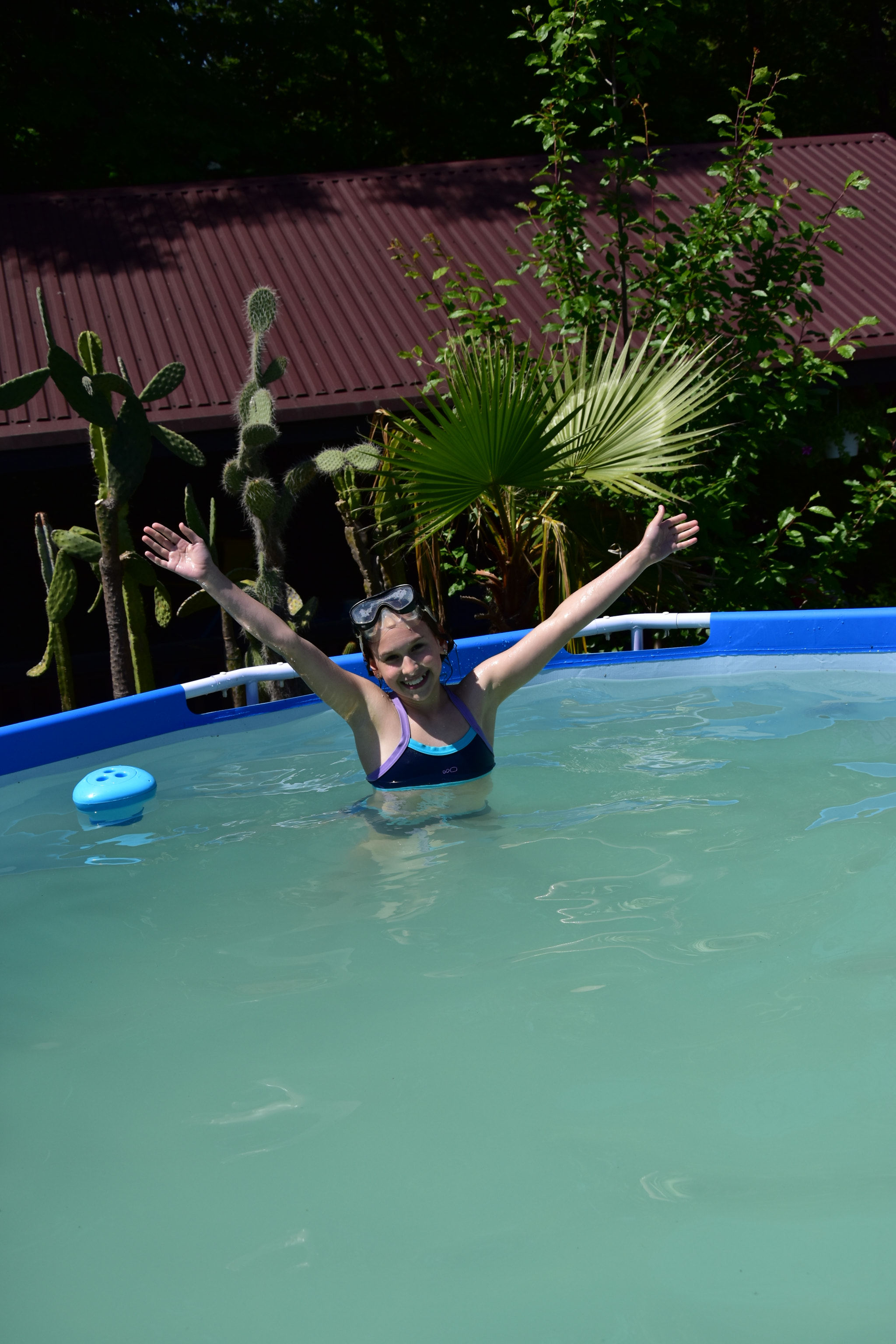 Nikon D5600 sample photo. Dsc photography