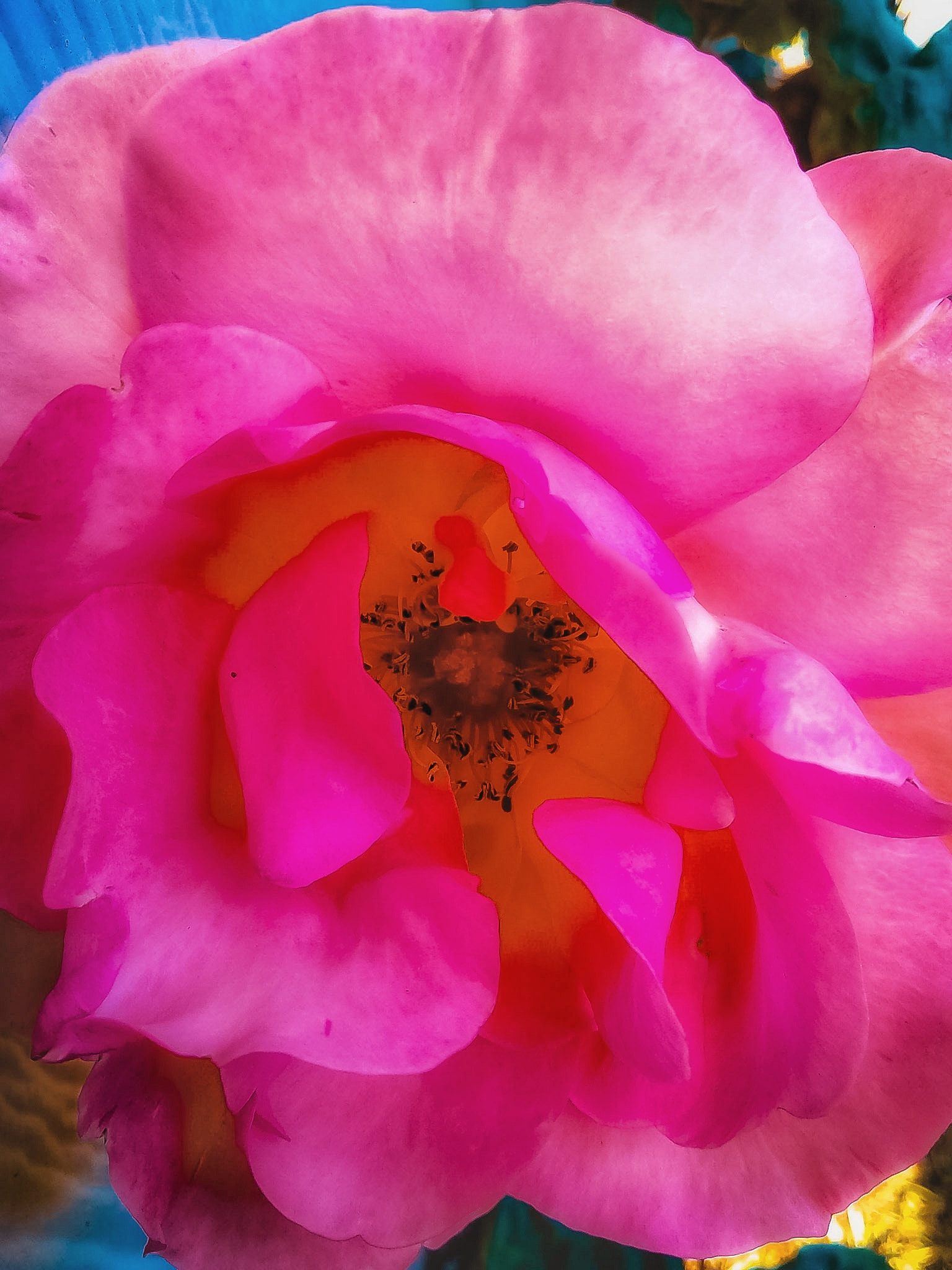 Motorola Moto E4 sample photo