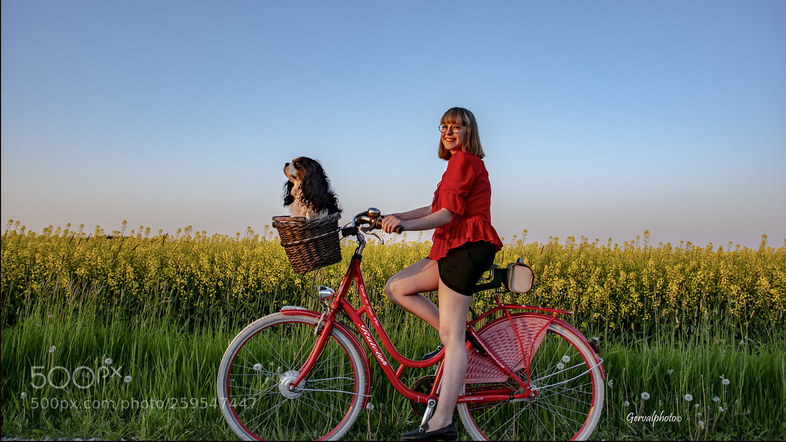 Nikon D7100 sample photo. The girl and the photography