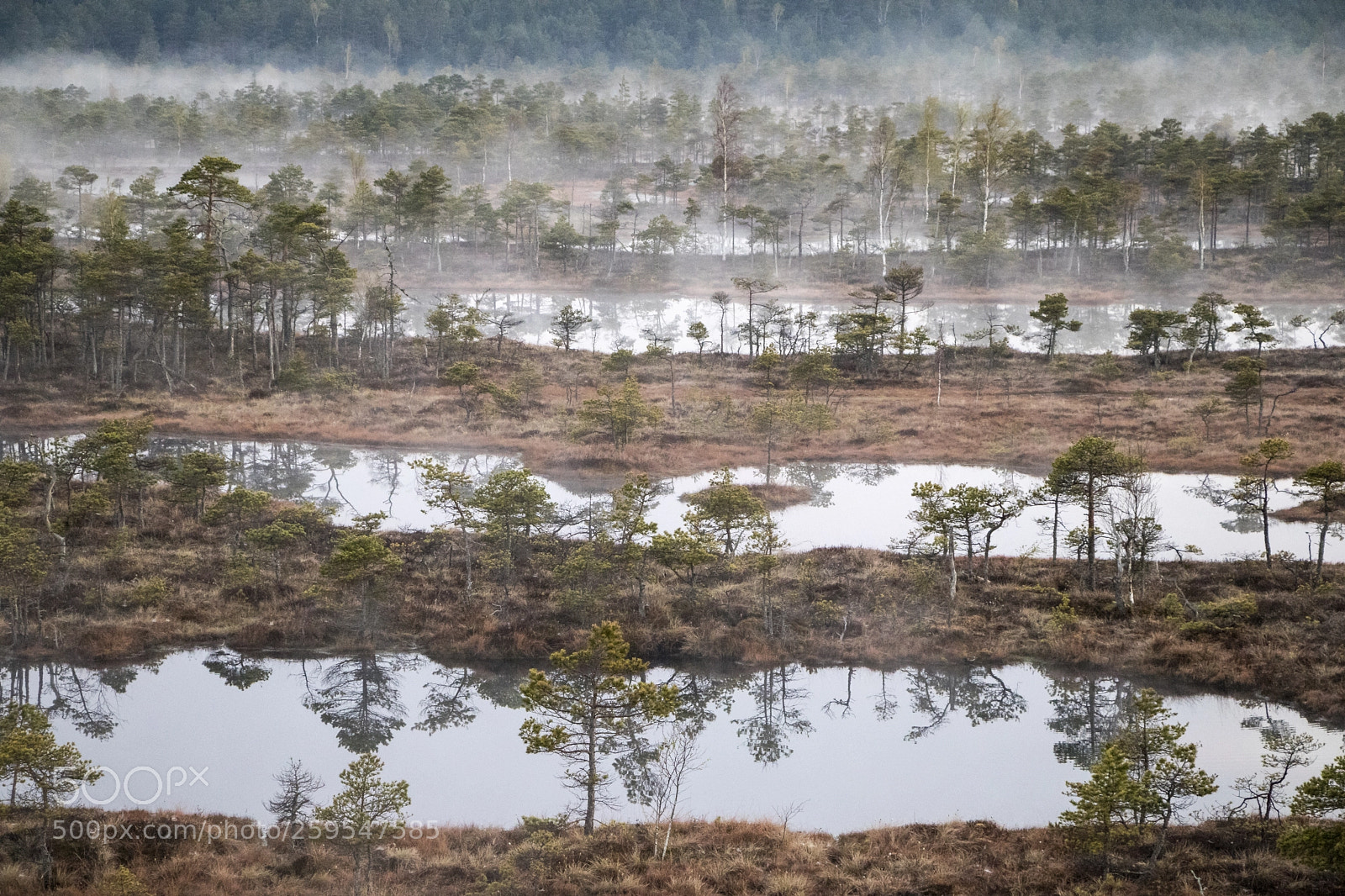Canon EOS 80D sample photo. Moor landscape photography