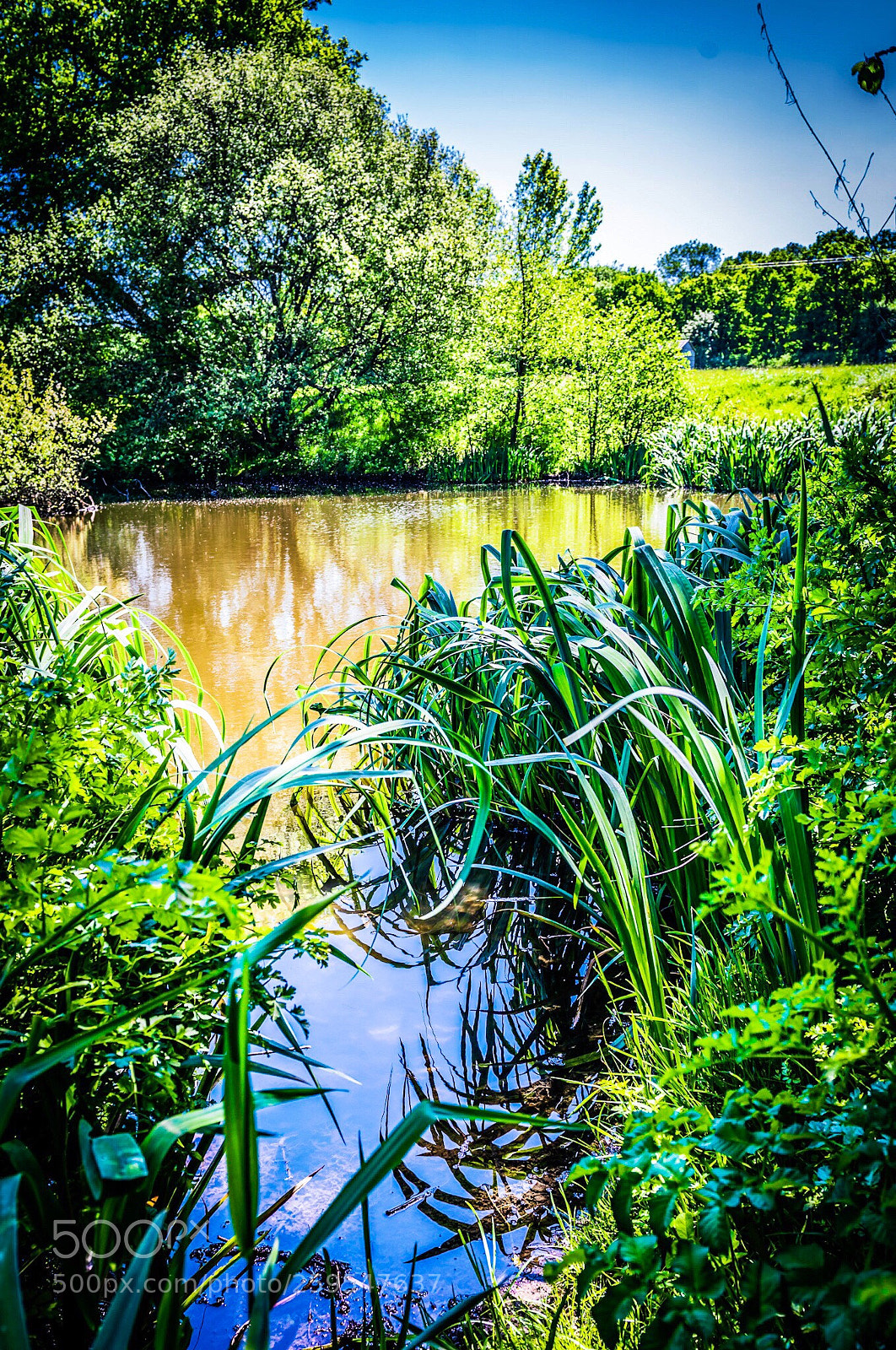 Nikon D800E sample photo. Still waters photography
