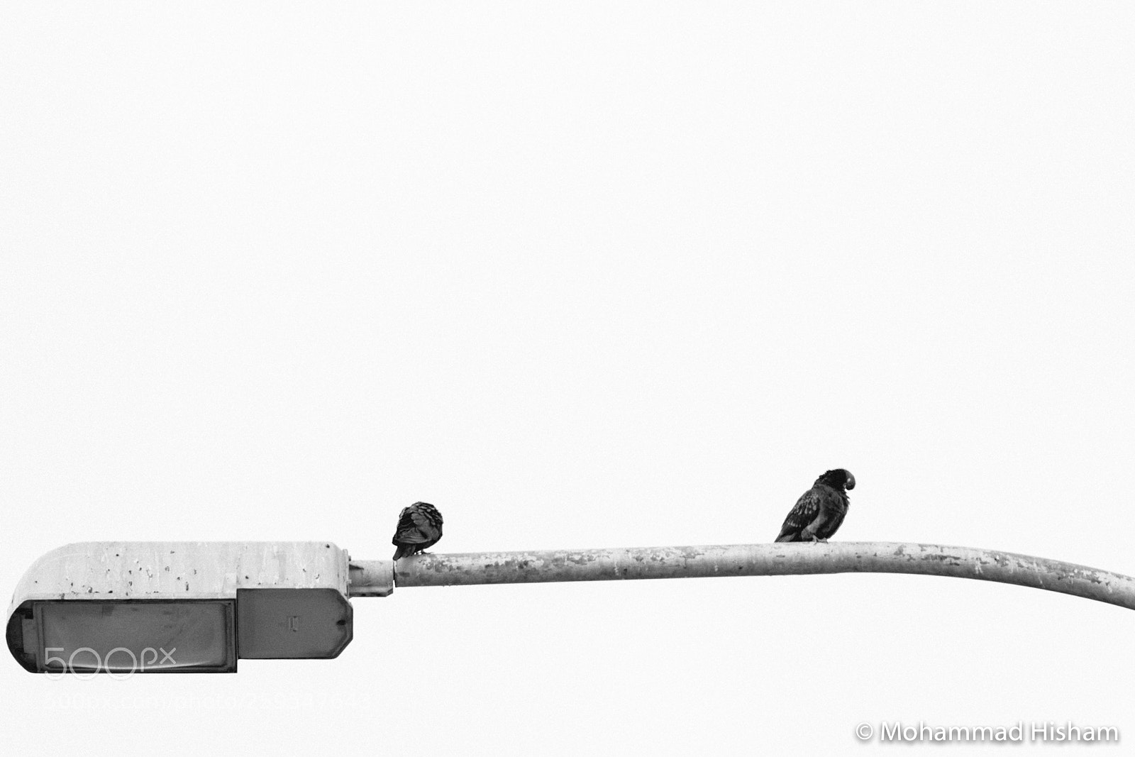 Nikon D3400 sample photo. Resting photography