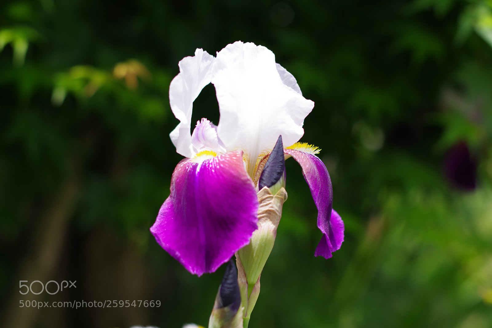 Pentax K-70 sample photo. Untitled photography