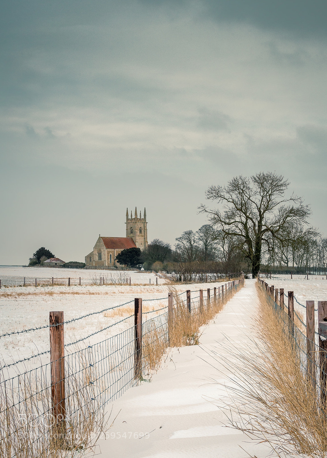 Sony a7 II sample photo. Snow path photography