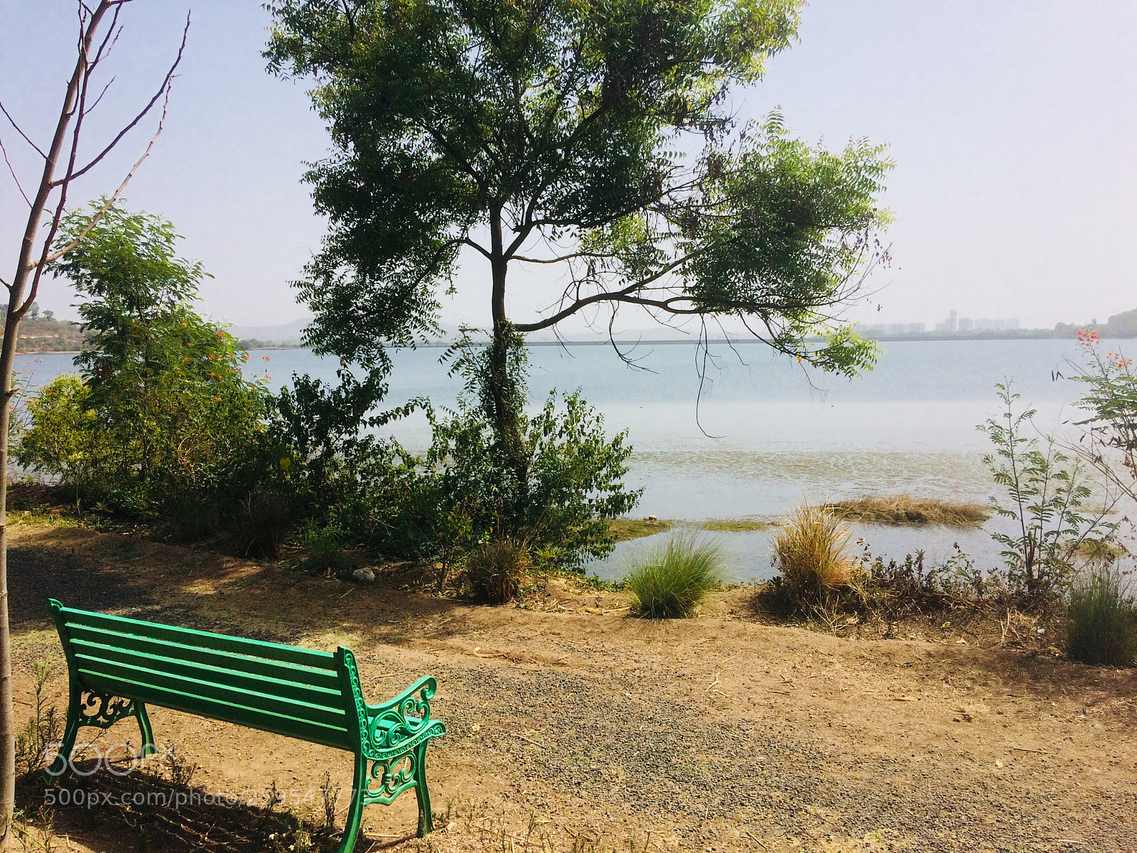 Apple iPhone 5s sample photo. Untitled photography